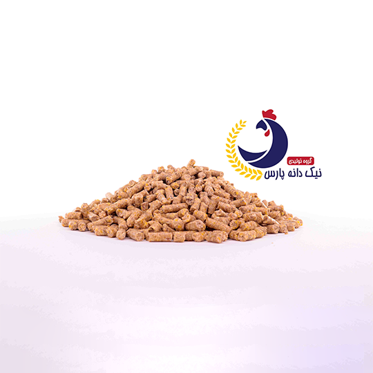 میان دان