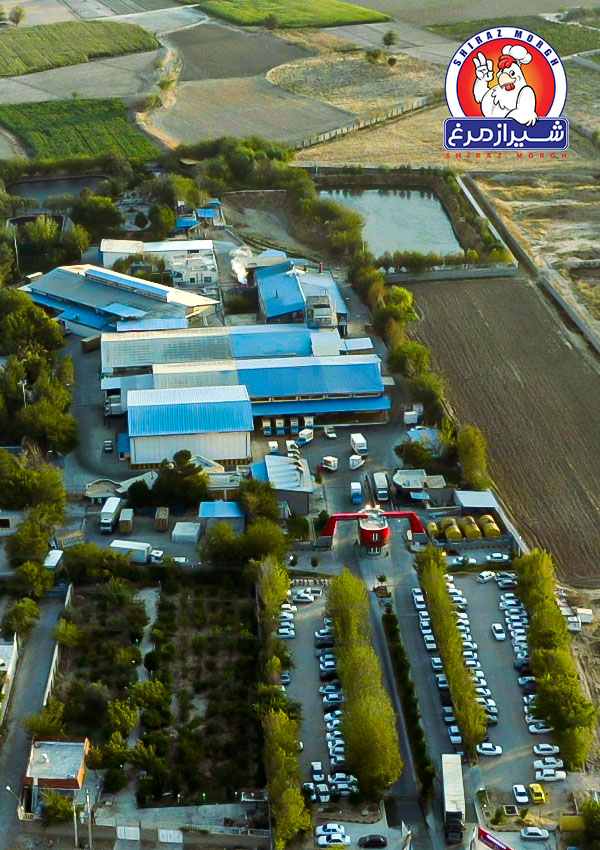 شیراز مرغ