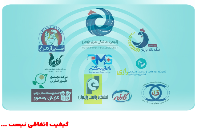 زنجیره ماکان مرغ در یک نگاه