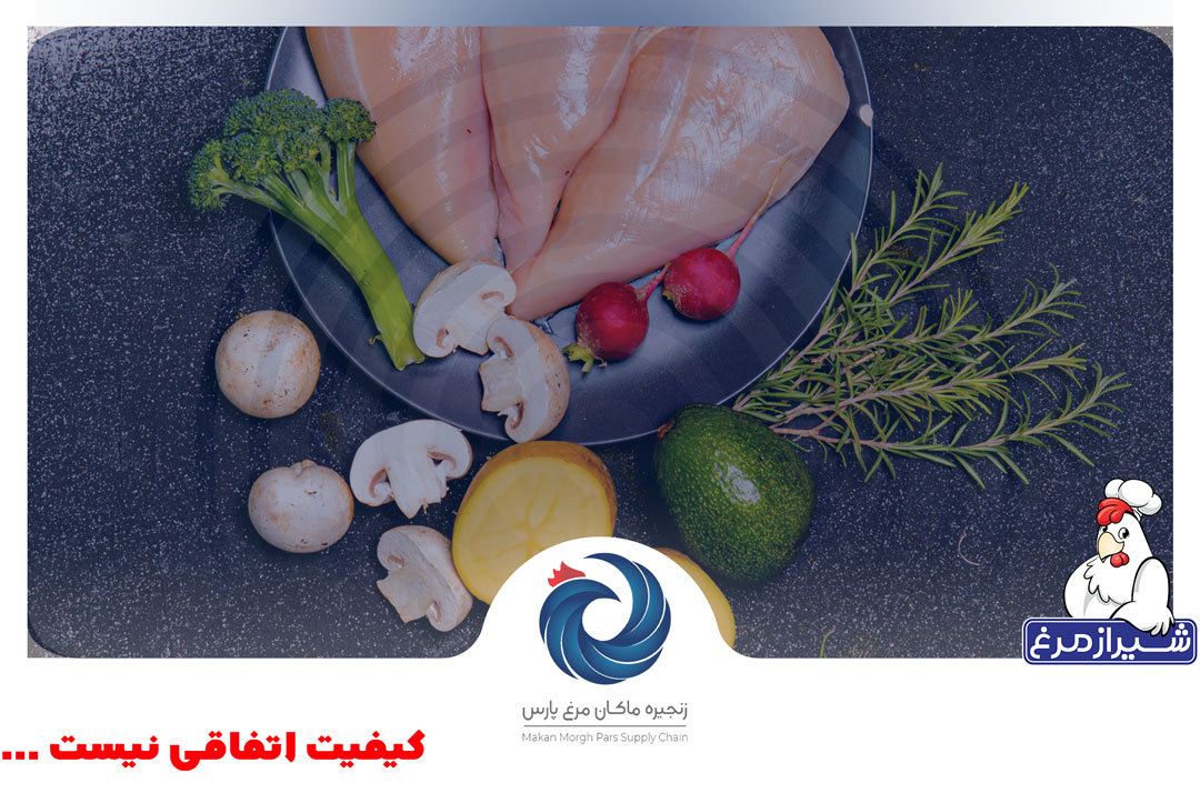 افزایش کیفیت تولید مرغ در زنجیره ماکان مرغ پارس (شیرازمرغ) با فناوری‌های نوین