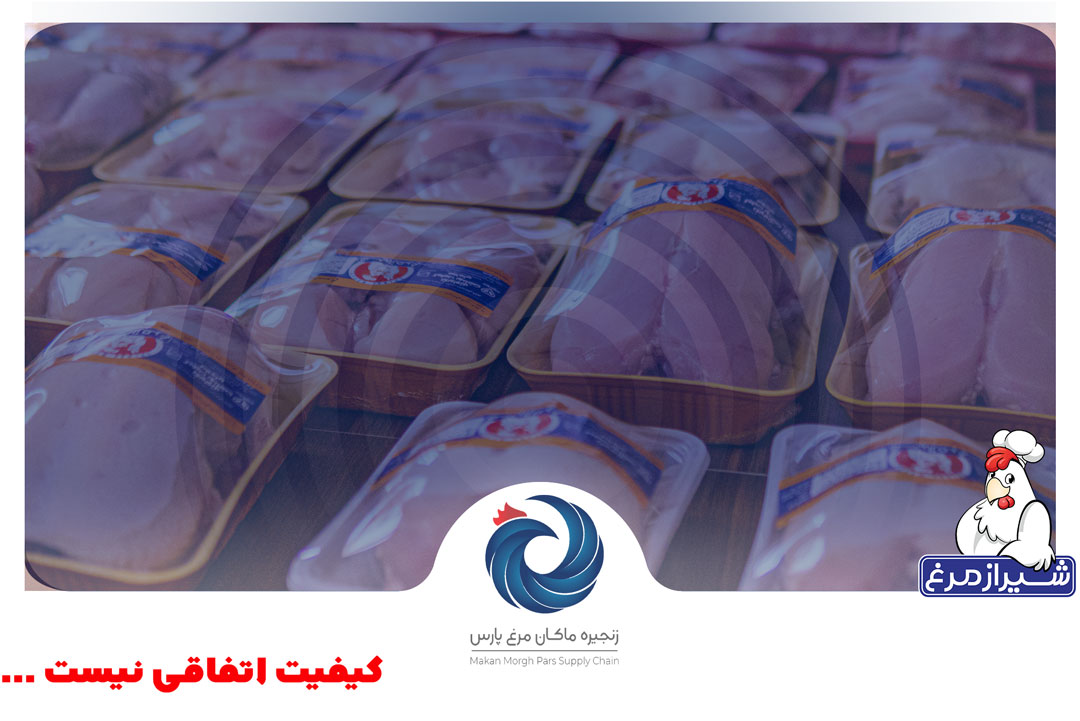 روند رو به رشد تقاضای مرغ بدون آنتی‌بیوتیک در بازار شیراز